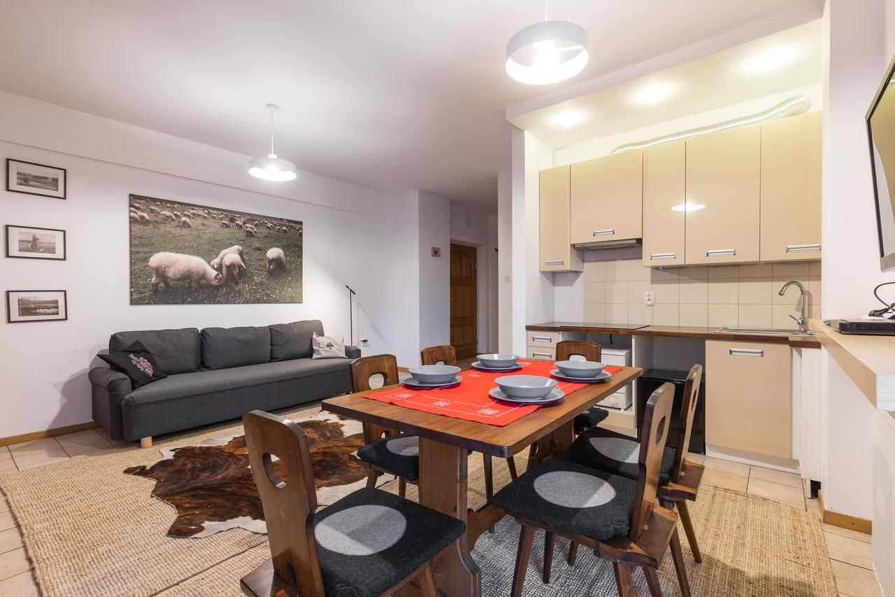 Апартаменты Apartamenty Orkana Centrum Zakopane Закопане